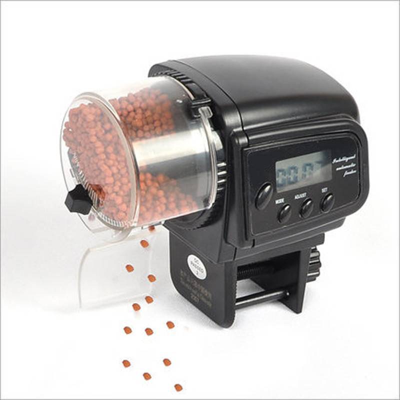 national geographic automatic fish feeder
